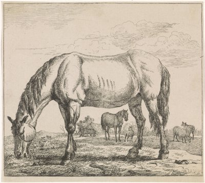 Weidendes Pferd von Adriaen van de Velde
