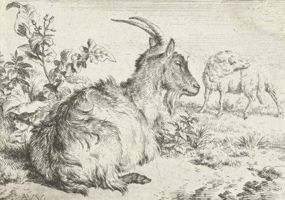 Liegende Ziege, 1670 von Adriaen van de Velde