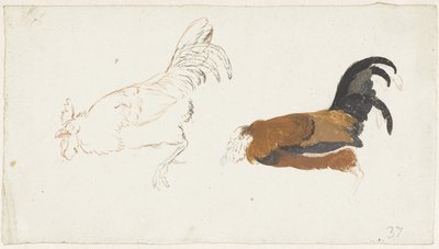 Zwei Studien eines toten Hahns von Aert Schouman