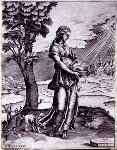 Die Kumanaische Sibylle von Agostino Musi