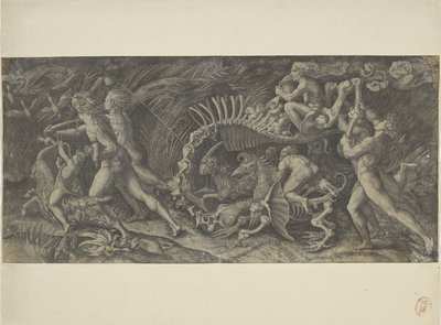 Der Kadaver Lo stregozzo von Agostino Veneziano