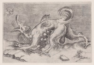 Der Drache und die Biene von Agostino Veneziano