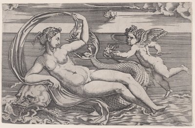 Venus auf einem Delphin ruhend von Agostino Veneziano