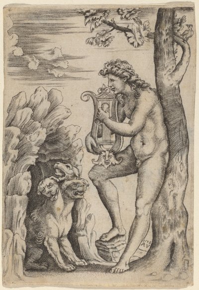 Orpheus von Agostino dei Musi