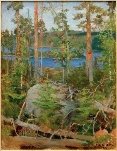 Blick auf den Jamajärvi-See von Akseli Valdemar Gallen Kallela