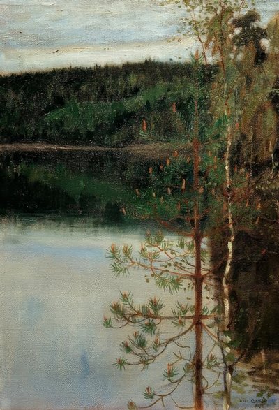 Blick auf einen See von Akseli Valdemar Gallen Kallela