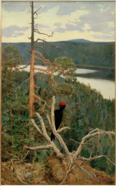 Der große Schwarzspecht von Akseli Valdemar Gallen Kallela