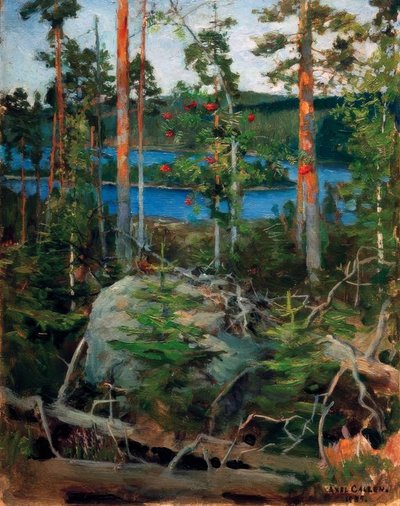 Landschaft am Jamajärvisee von Akseli Valdemar Gallen Kallela