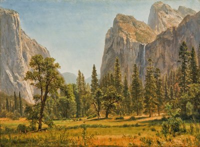 Bridal Veil Falls, Yosemite Valley, Kalifornien von Albert Bierstadt