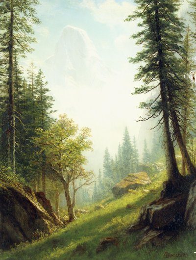 Unter den Berner Alpen von Albert Bierstadt