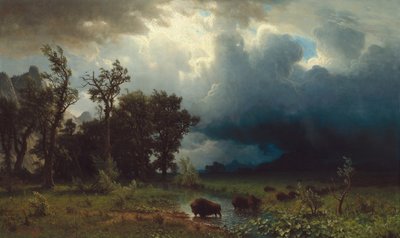 Büffelpfad: Der drohende Sturm, 1869 von Albert Bierstadt