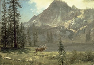 Ruf der Wildnis von Albert Bierstadt