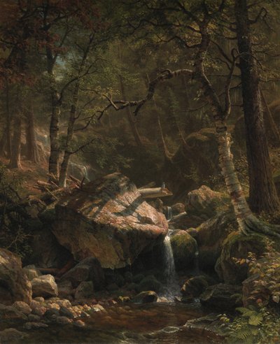 Bergbach, 1863 von Albert Bierstadt