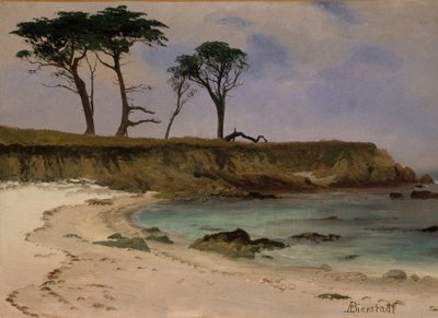 Meeresbucht, ca. 1880-90 von Albert Bierstadt