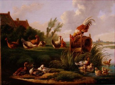 Enten und Geflügel an einem Flussufer von Albertus Verhoesen