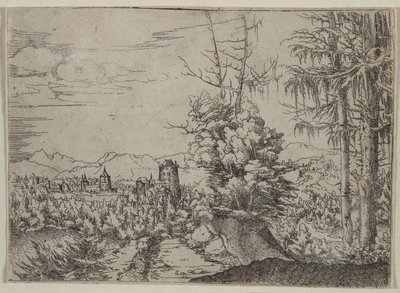 Landschaft mit zwei Kiefern von Albrecht Altdorfer