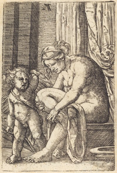 Venus nach dem Bad von Albrecht Altdorfer