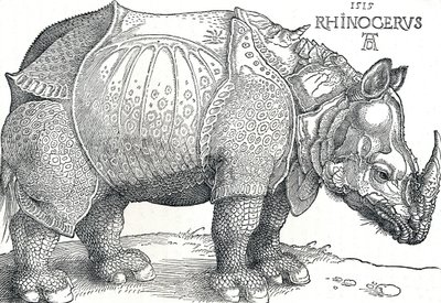 Ein Nashorn, 1515, 1906 von Albrecht Dürer