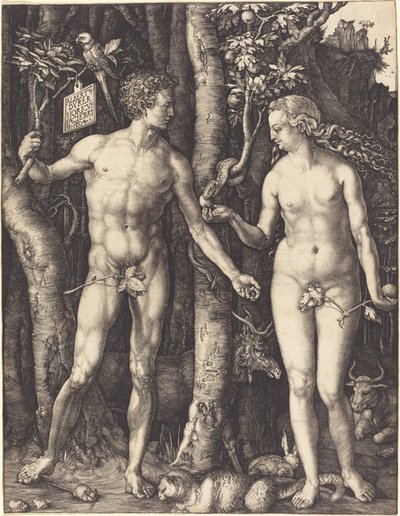 Adam und Eva von Albrecht Dürer
