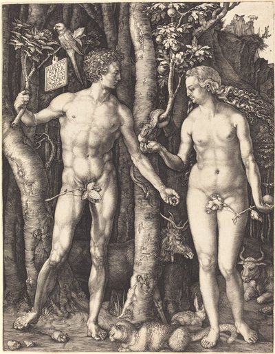 Adam und Eva von Albrecht Dürer