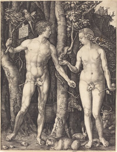 Adam und Eva von Albrecht Dürer