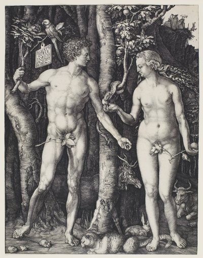Adam und Eva von Albrecht Dürer