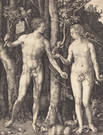 Adam und Eva, 1504 von Albrecht Dürer