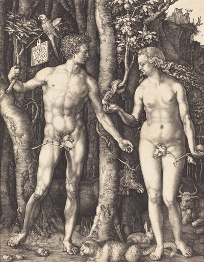 Adam und Eva, 1504 von Albrecht Dürer