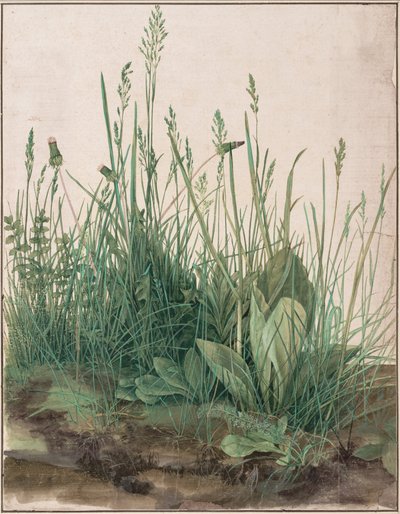 Das große Rasenstück von Albrecht Dürer
