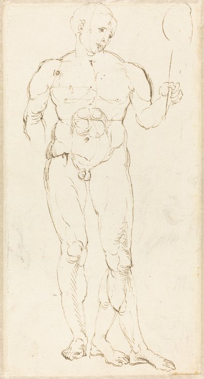 Männlicher Akt, der einen Spiegel hält [recto] von Albrecht Dürer
