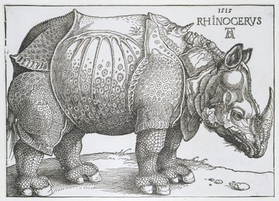 Nashorn von Albrecht Dürer
