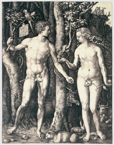 Erbsünde von Albrecht Dürer