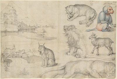 Skizzen von Tieren und Landschaften, 1521 von Albrecht Dürer