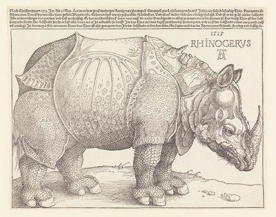 Das Nashorn von Albrecht Dürer