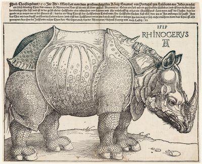 Das Nashorn von Albrecht Dürer