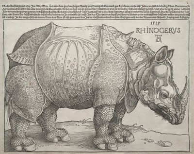Das Nashorn von Albrecht Dürer