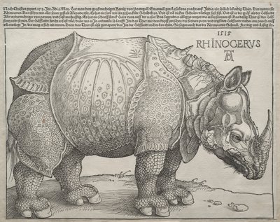 Das Nashorn, 1515 von Albrecht Dürer