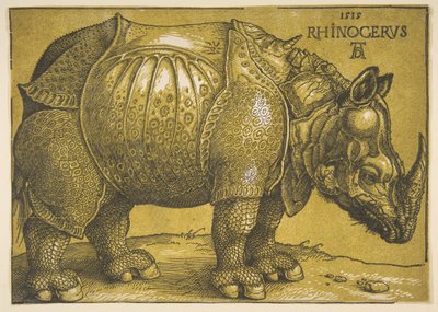 Das Nashorn, nach 1620 von Albrecht Dürer