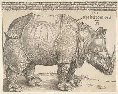 Das Nashorn von Albrecht Dürer