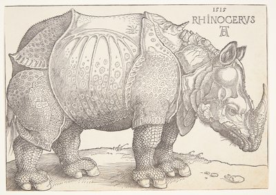 Das Nashorn von Albrecht Dürer