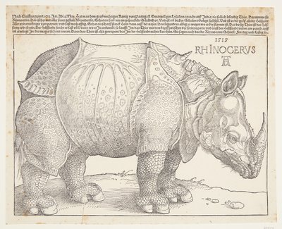 Das Nashorn von Albrecht Dürer