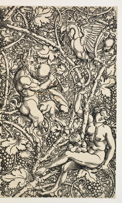 Zwei Entwürfe für Wandteppiche mit Satyrfamilie von Albrecht Dürer