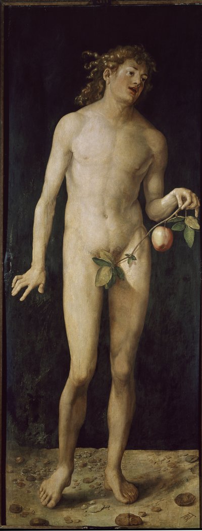 Adam von Albrecht Dürer