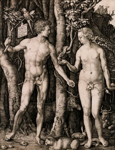 Adam und Eva von Albrecht Dürer
