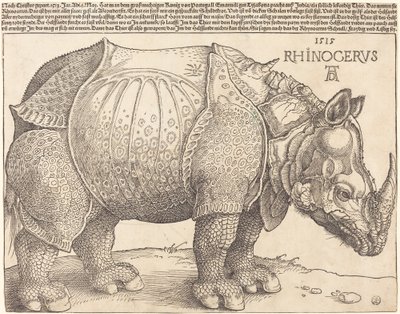 Das Nashorn von Albrecht Dürer
