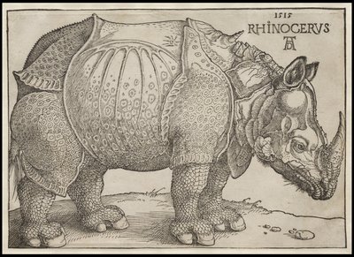 Das Nashorn, 1515 von Albrecht Dürer