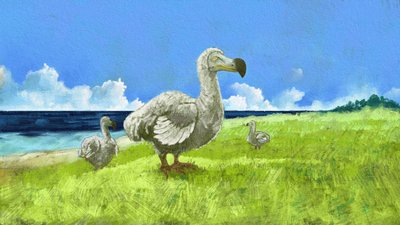 Darstellung des ausgestorbenen Dodo-Vogels (Illustration) von Alessandro Lonati