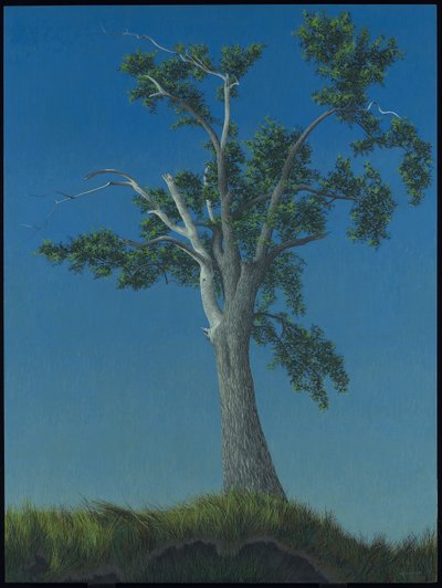 Ulmenbaum bei Horton Landing von Alex Colville
