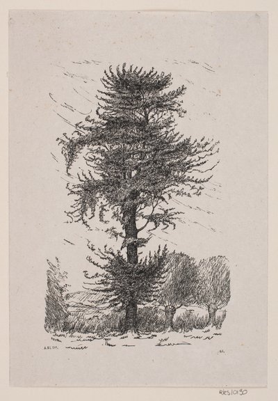Eiche bei Guldberg von Alexander Blom