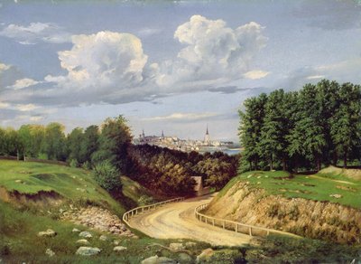 Blick auf Tallinn von Alexander Georg Schlater